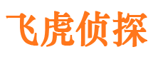 隆子外遇出轨调查取证